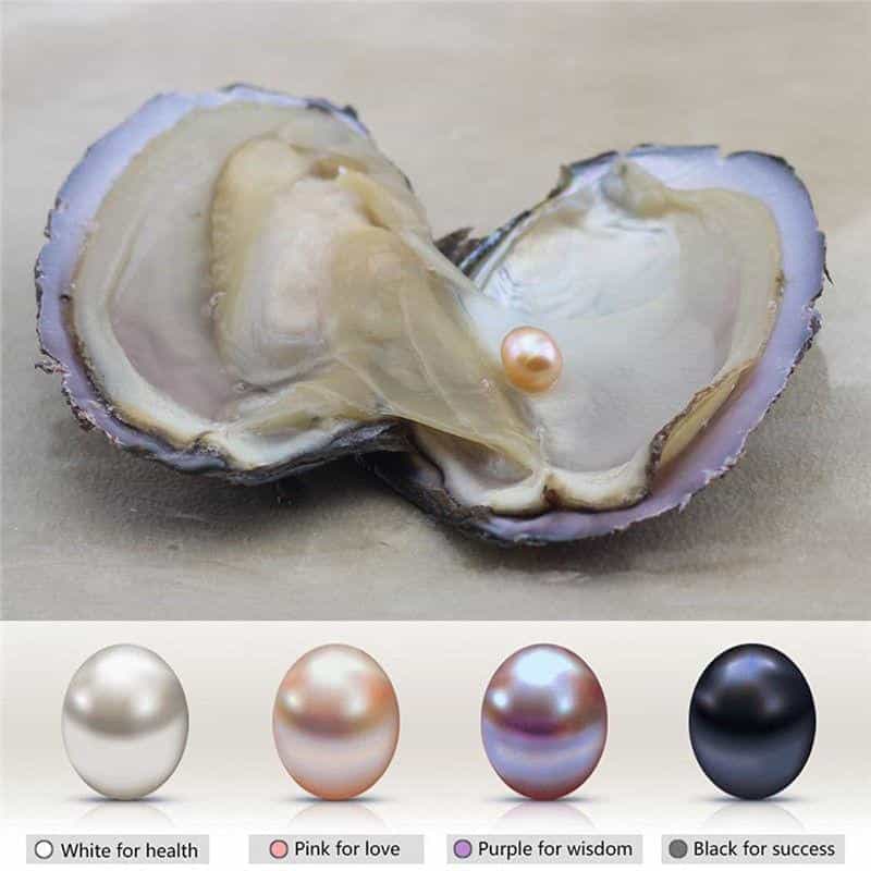 Natural Oyster Pearl Necklace Best Sellers Jewelry Type : Angel|Pink Rose|Red Rose|Shell|Coconut Tree|Dolphin|Love|Rose|Wish|Cherry|Sunflow|Pigeon 